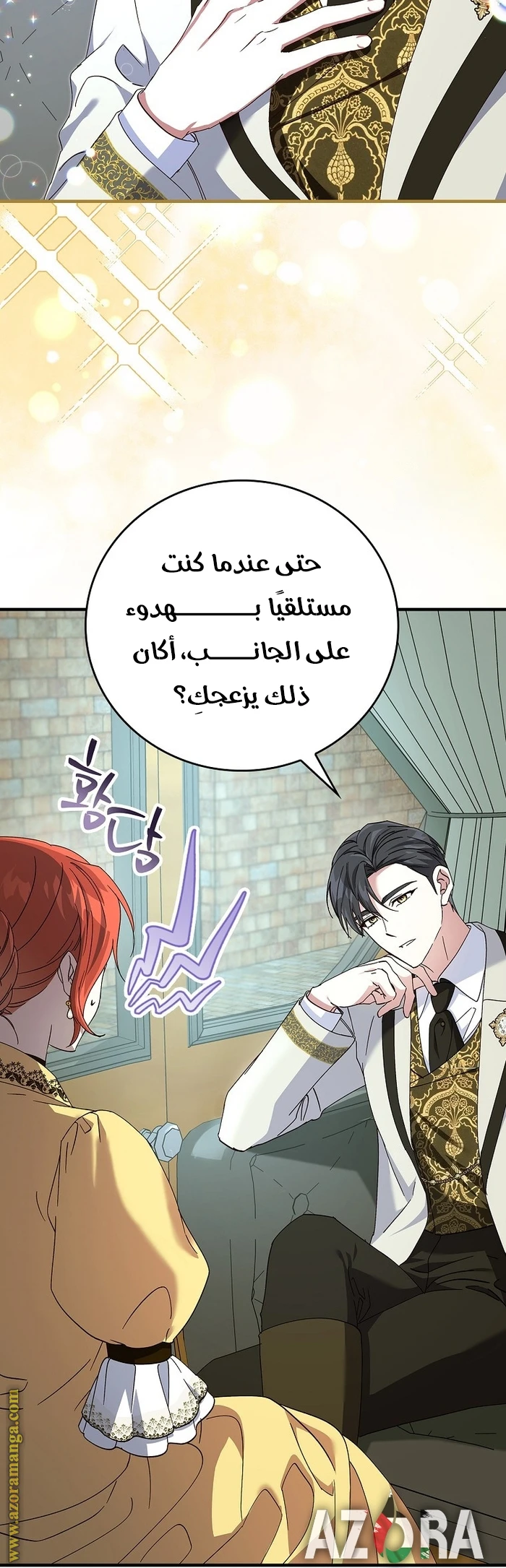 الصفحة 29