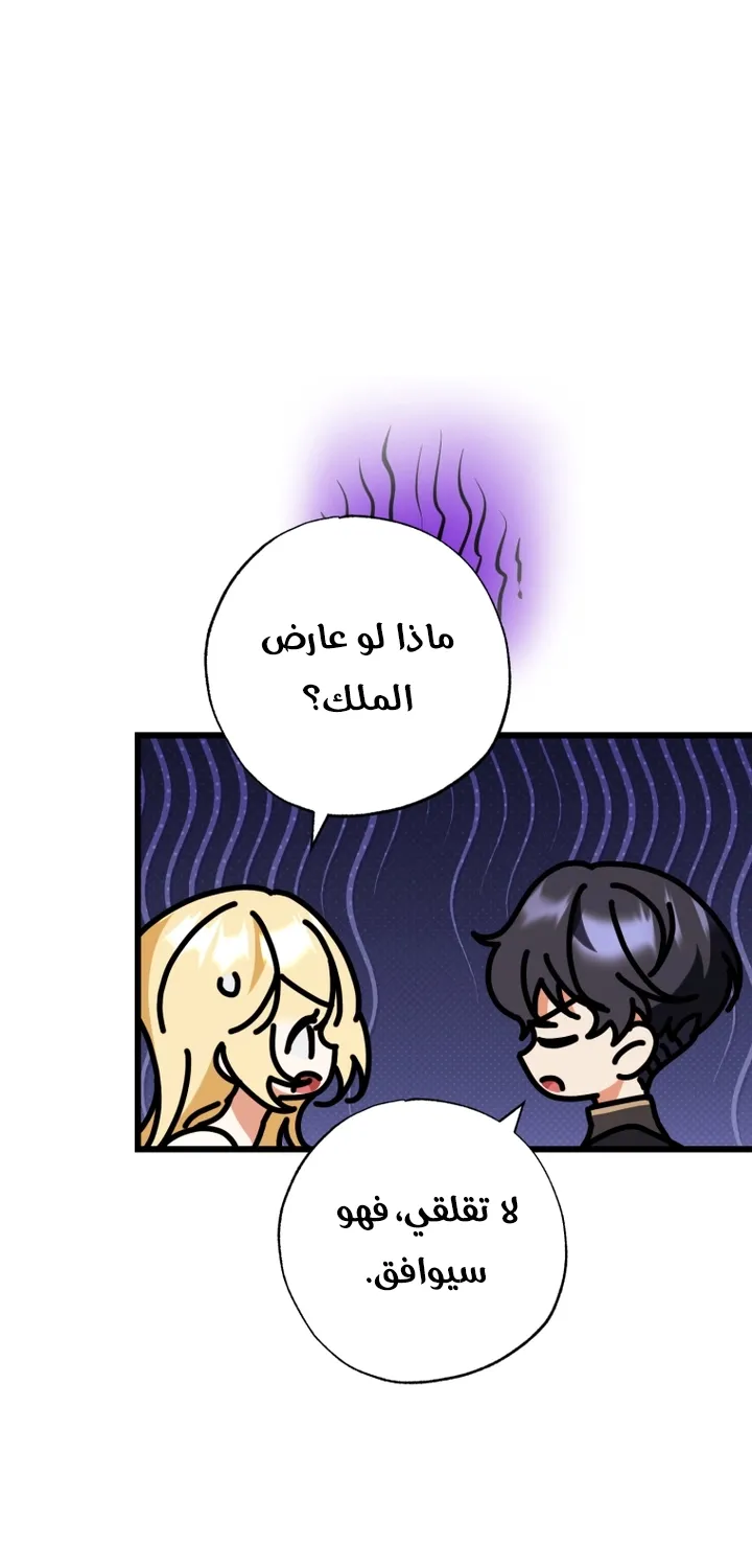 الصفحة 16