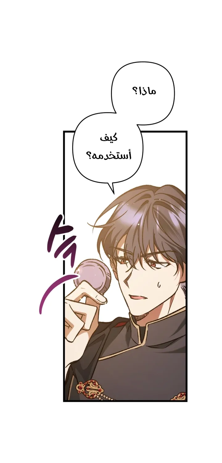 الصفحة 28