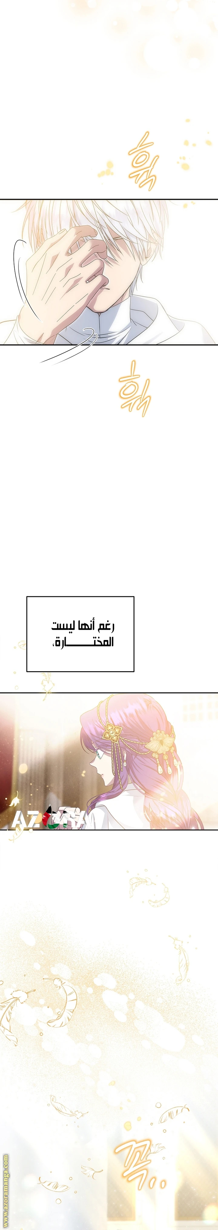 الصفحة 20