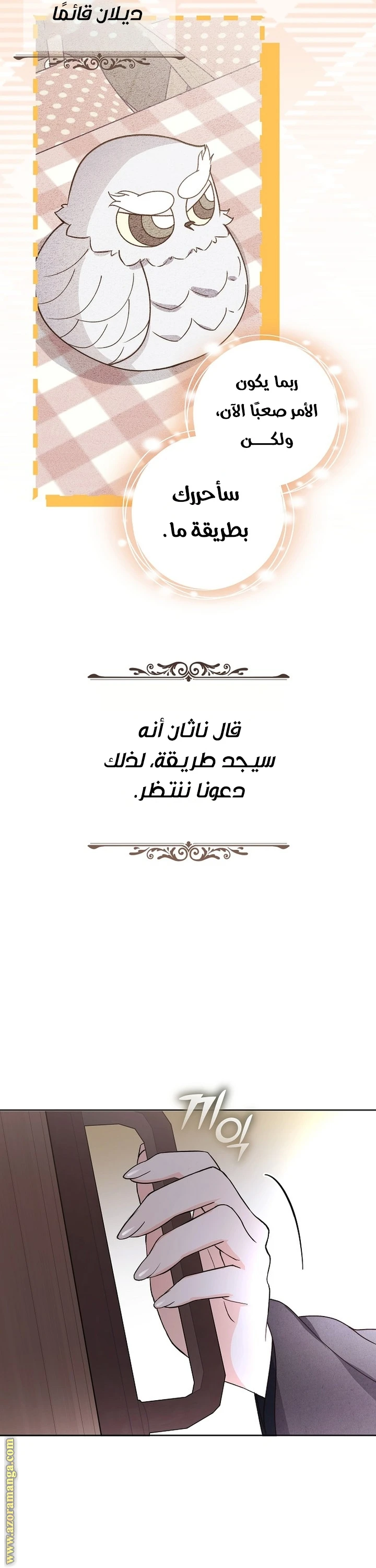 الصفحة 14