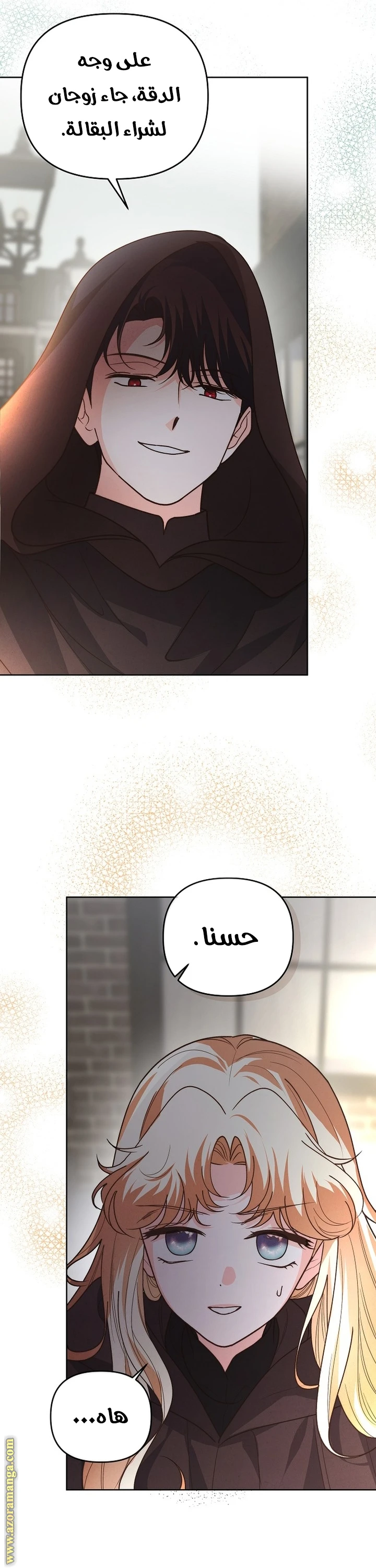الصفحة 25