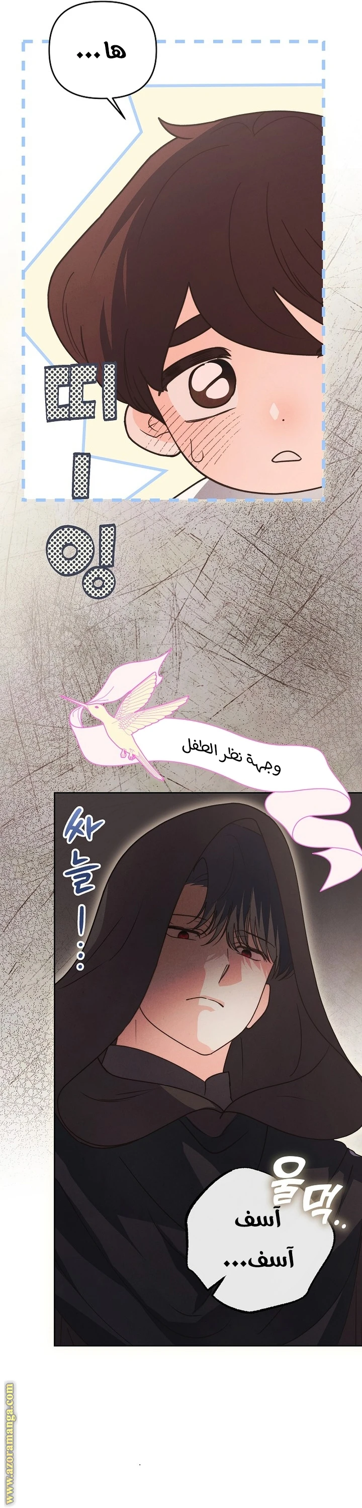 الصفحة 31