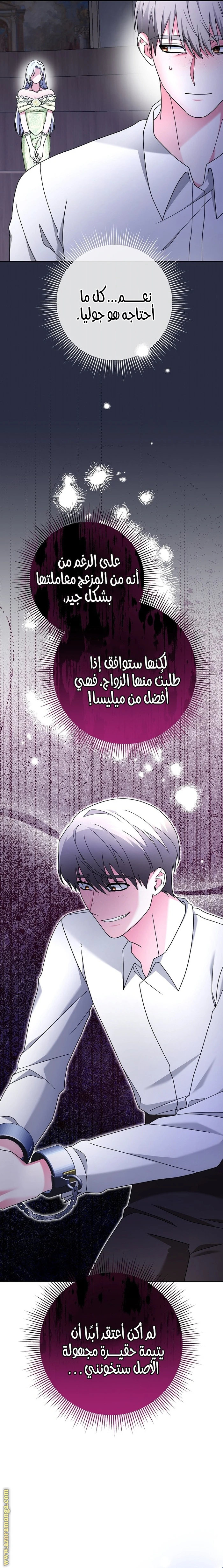 الصفحة 26