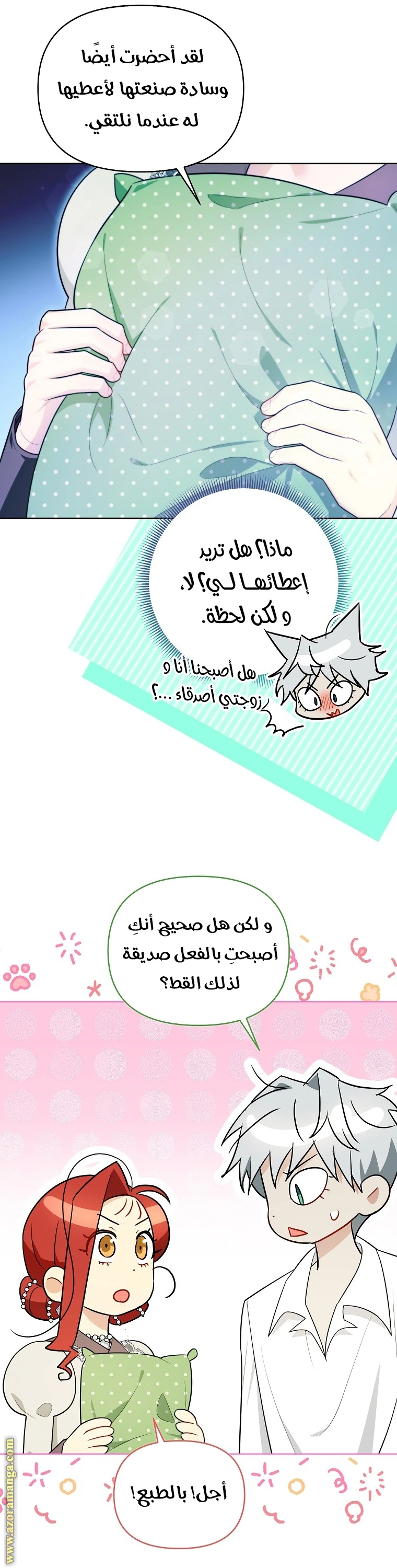 الصفحة 13