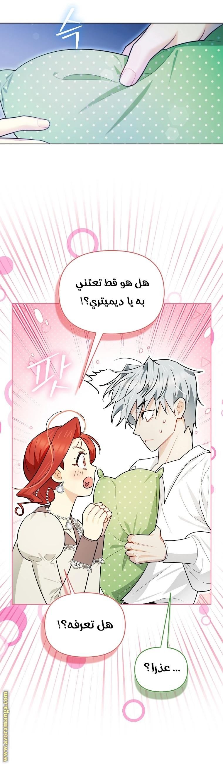 الصفحة 16