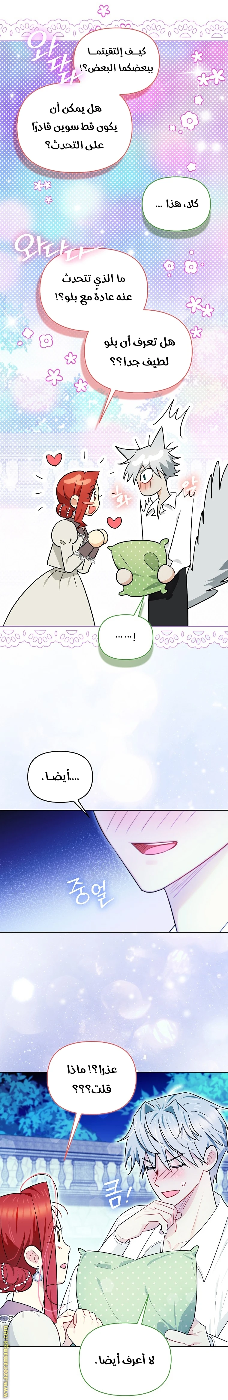 الصفحة 17