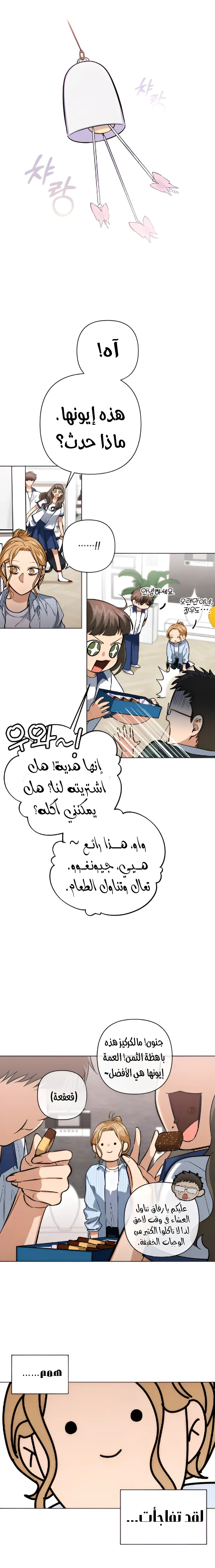 الصفحة 12