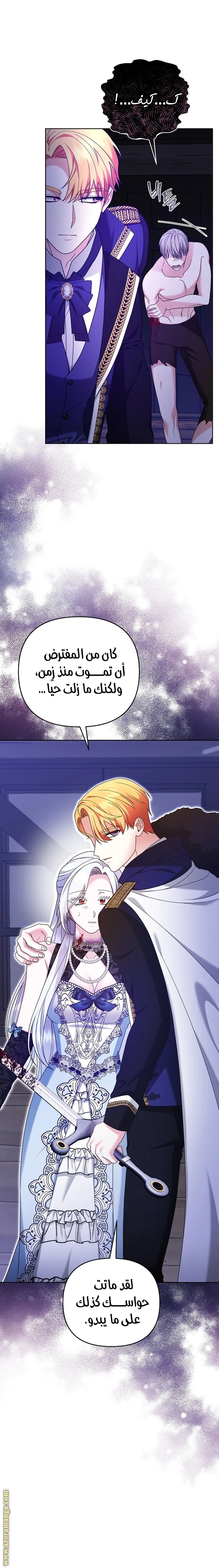 الصفحة 13