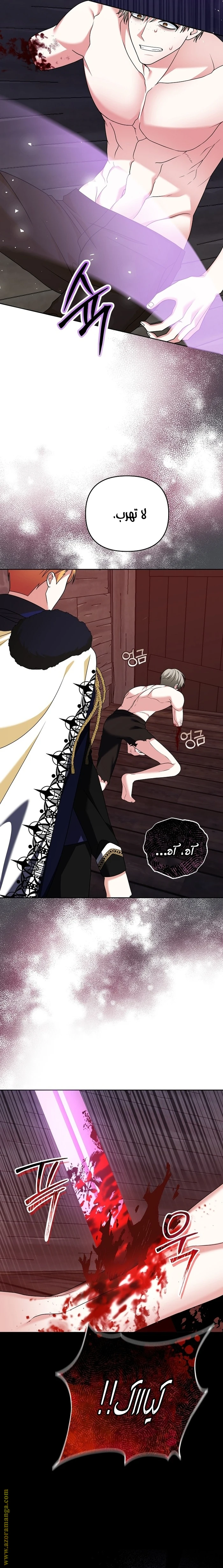 الصفحة 16