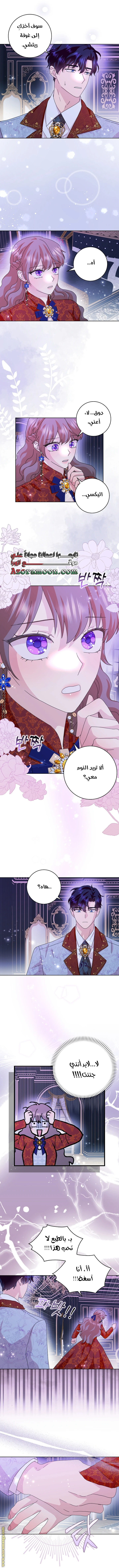 الصفحة 17