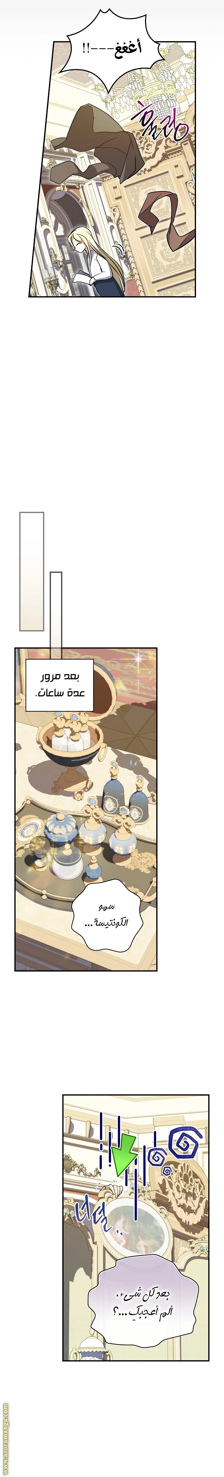 الصفحة 16