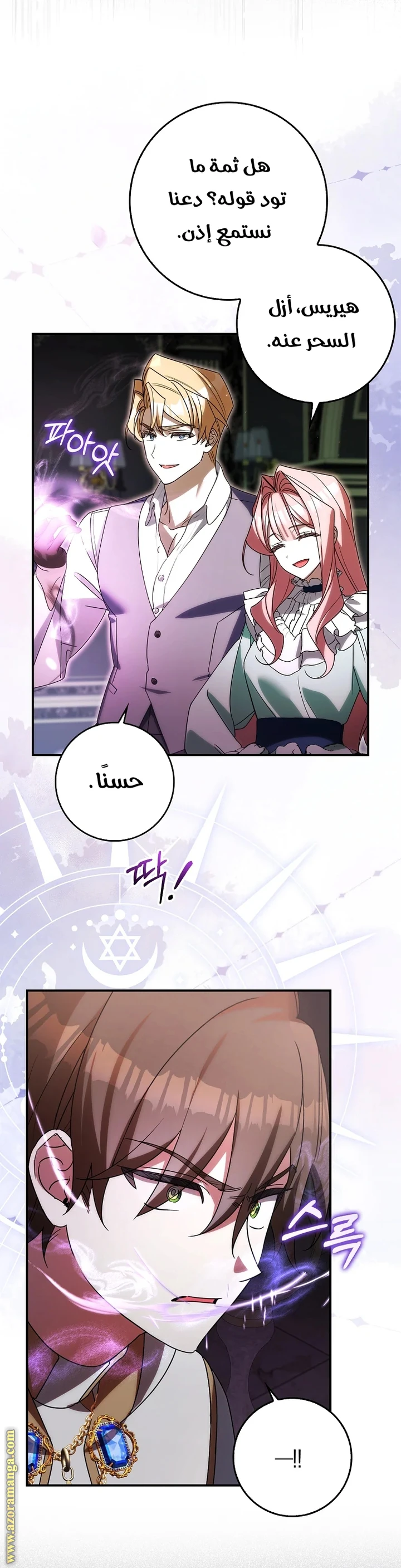 الصفحة 29