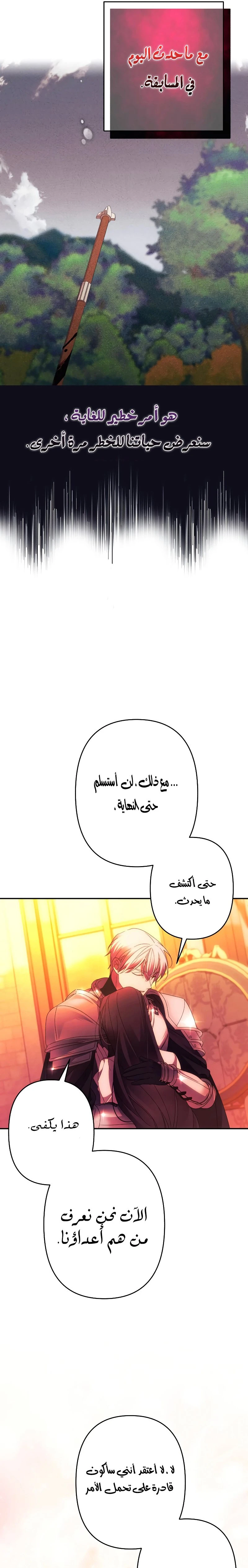 الصفحة 29