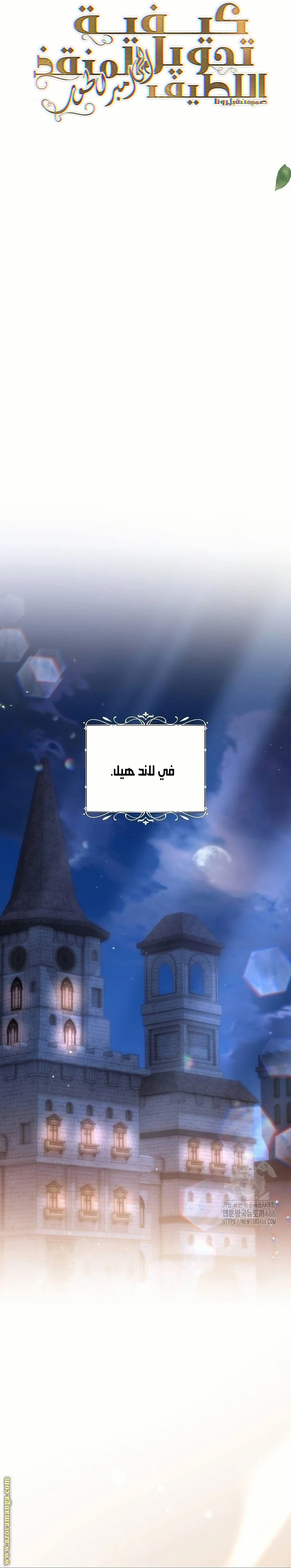 الصفحة 17