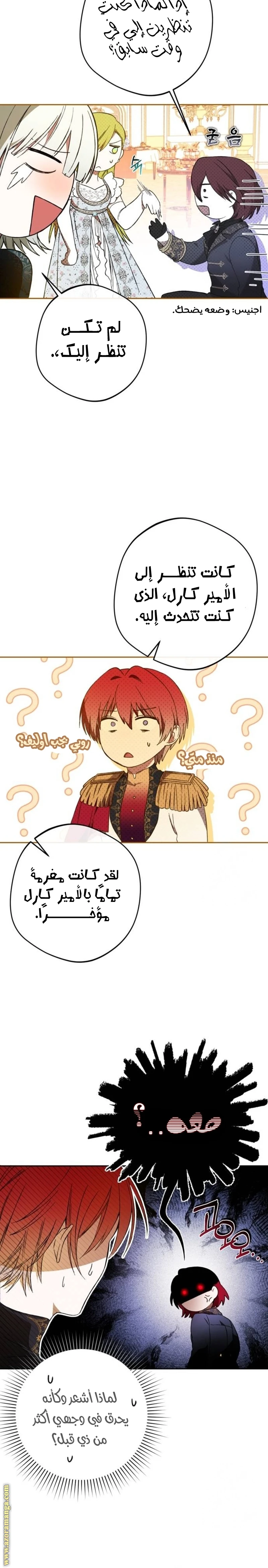 الصفحة 15