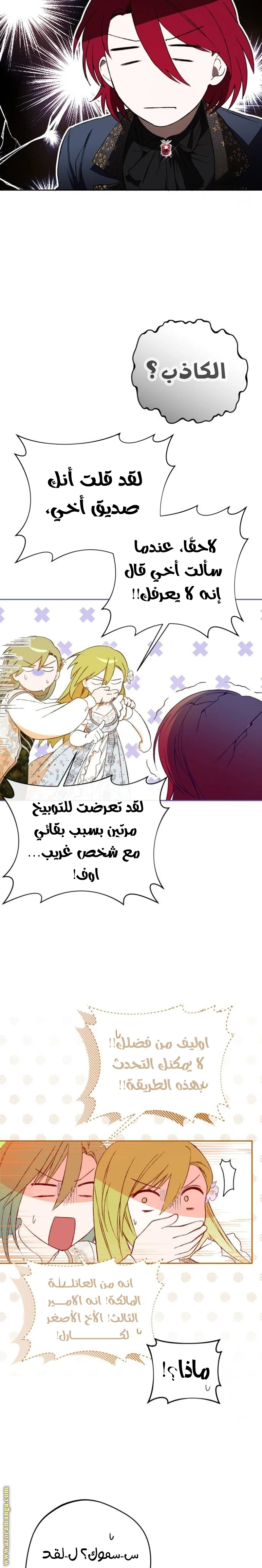 الصفحة 17