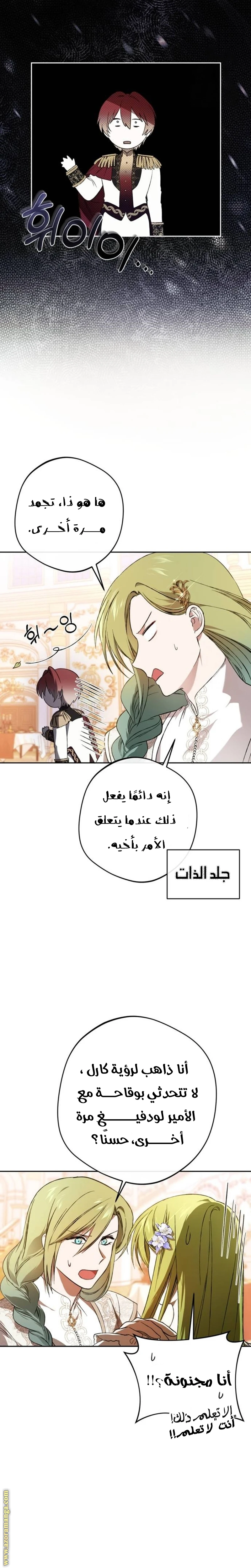 الصفحة 19