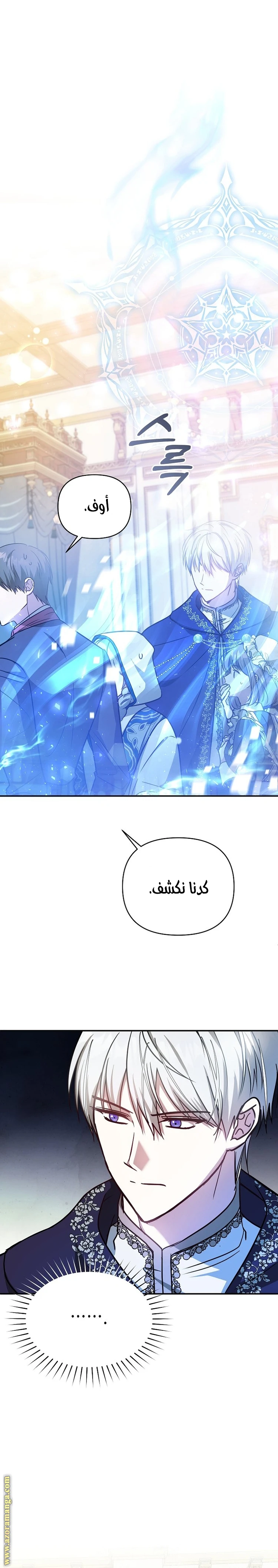 الصفحة 12