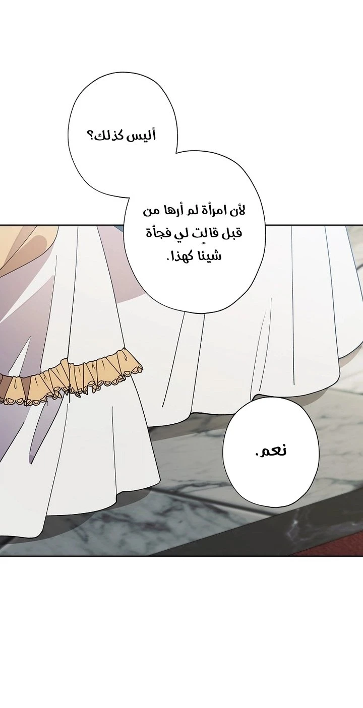 الصفحة 27