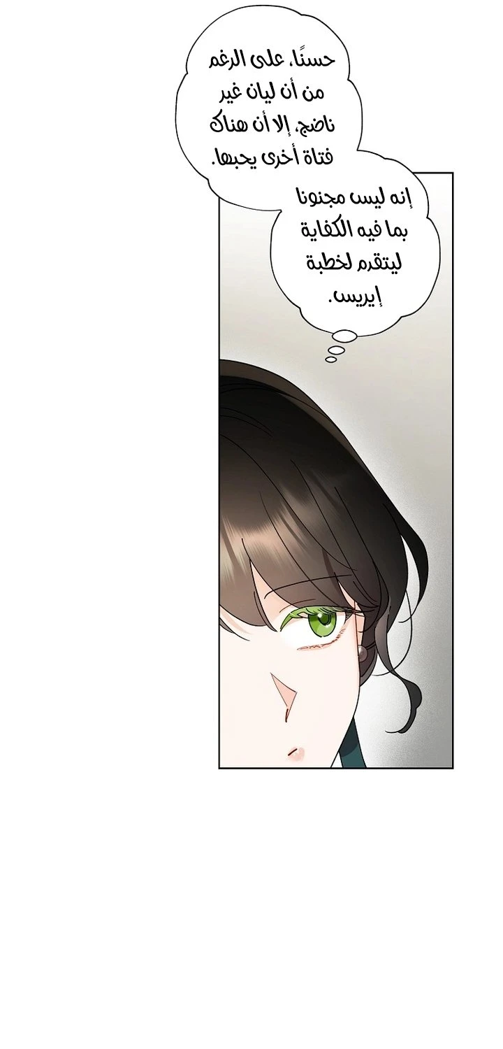 الصفحة 31