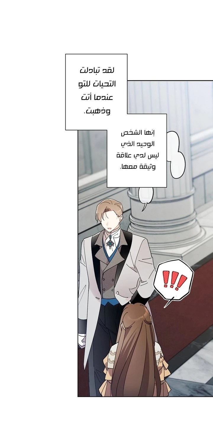 الصفحة 39