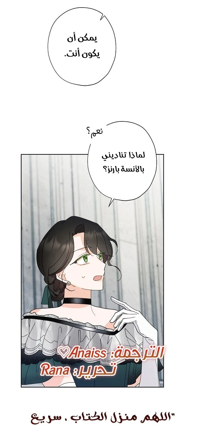 الصفحة 47