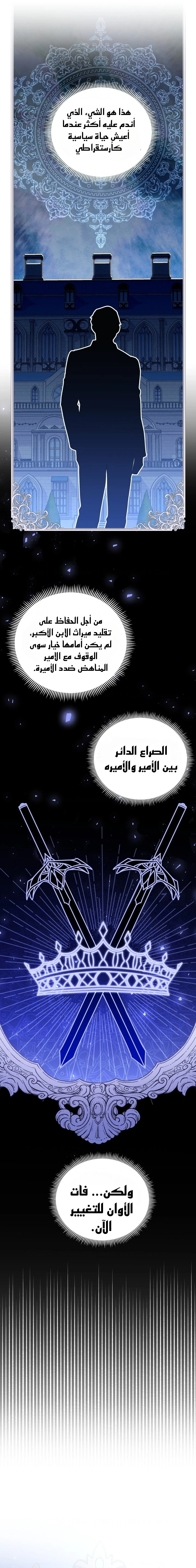 الصفحة 17