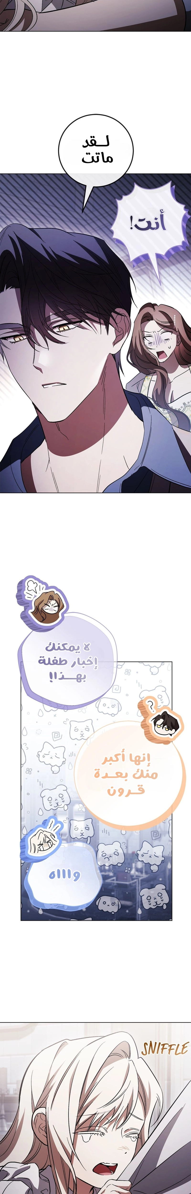 الصفحة 13