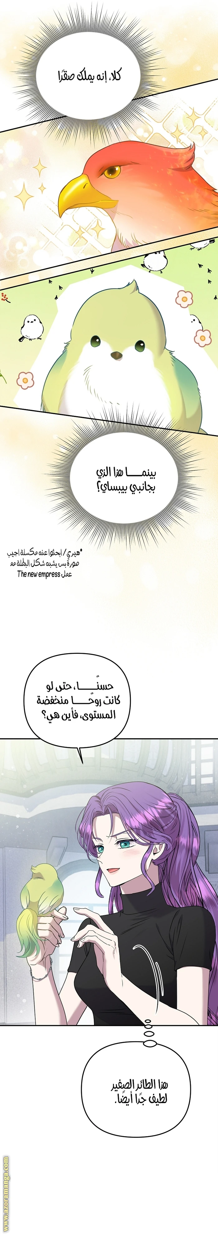 الصفحة 21