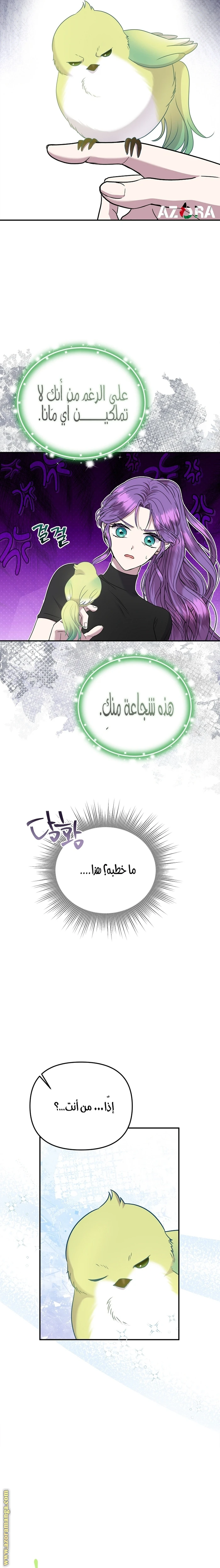 الصفحة 23