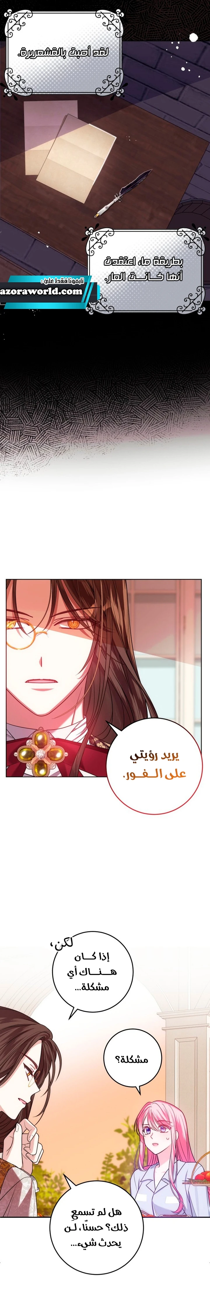 الصفحة 17