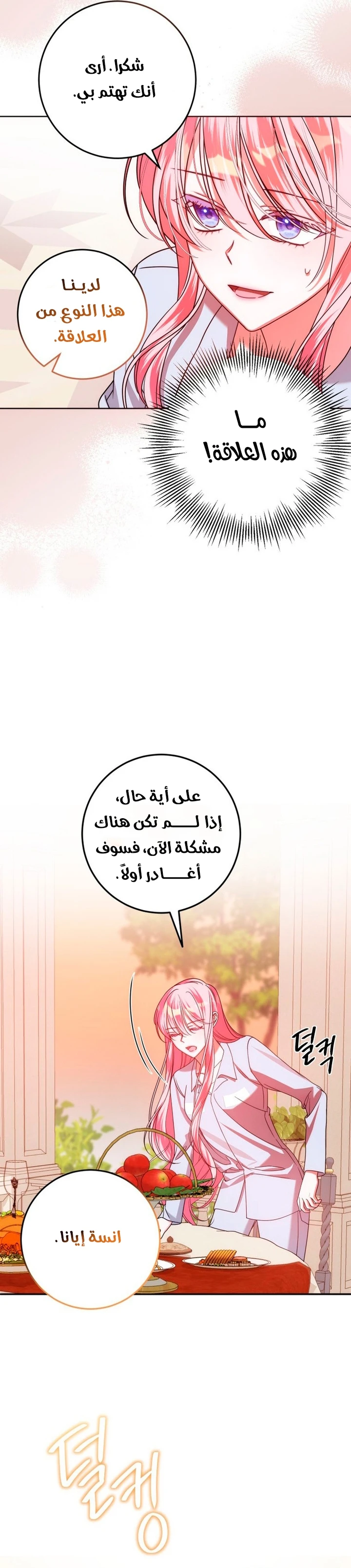 الصفحة 26