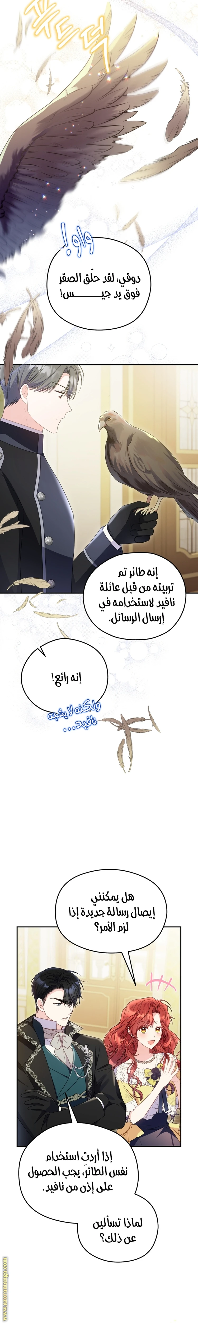 الصفحة 8