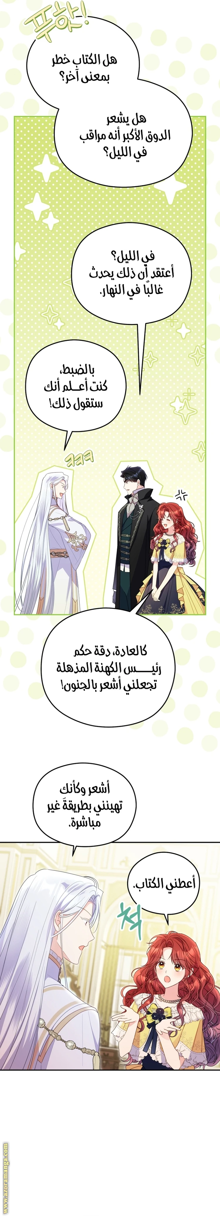 الصفحة 17