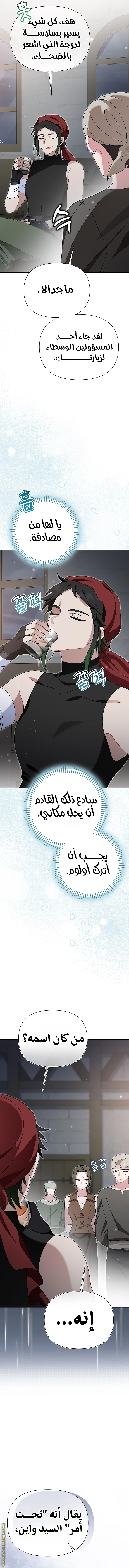 الصفحة 3