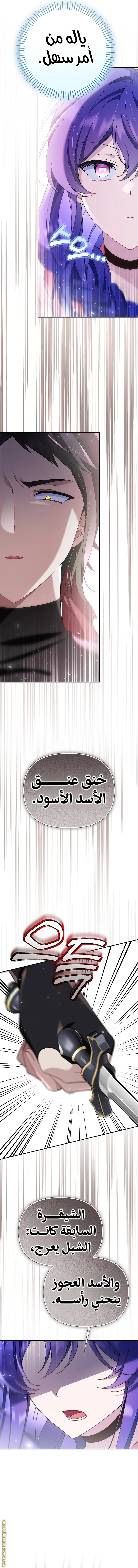 الصفحة 19