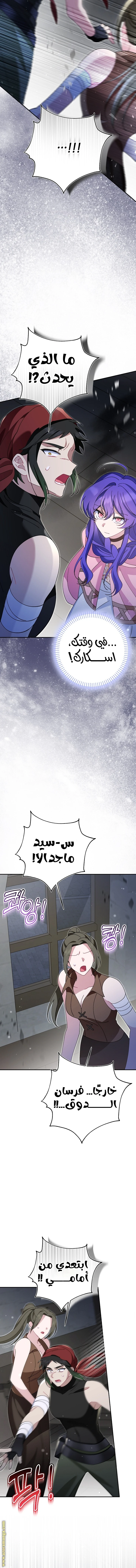 الصفحة 24