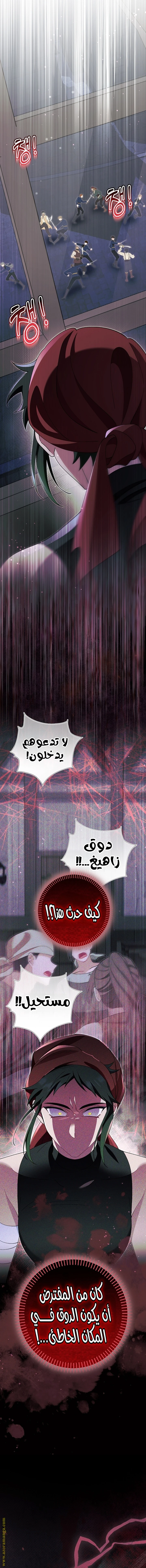 الصفحة 25