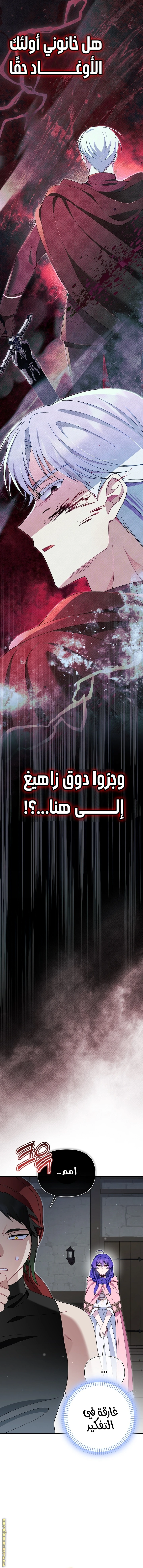 الصفحة 26
