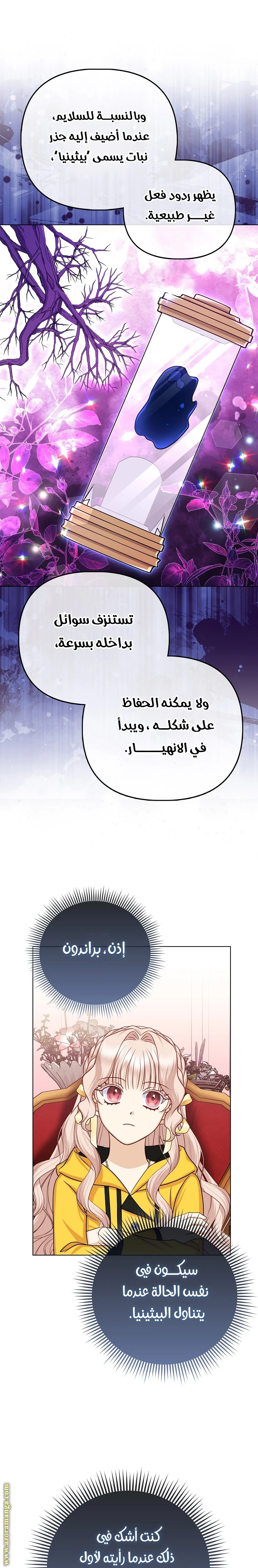 الصفحة 12