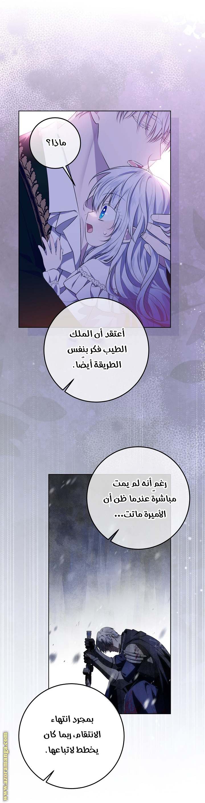 الصفحة 17