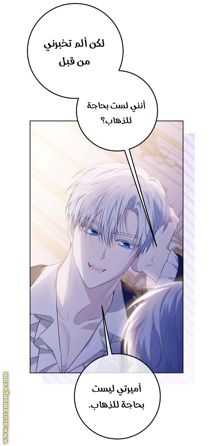 الصفحة 21