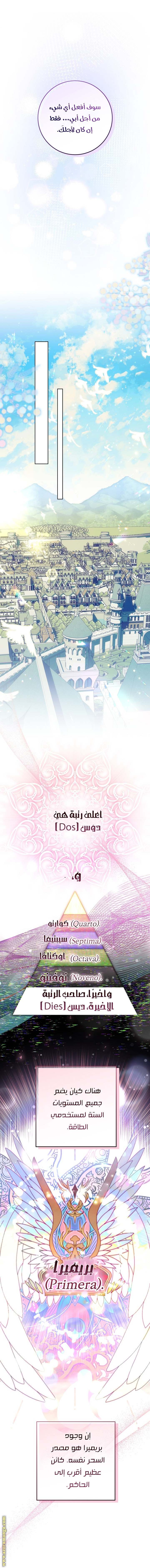 الصفحة 29