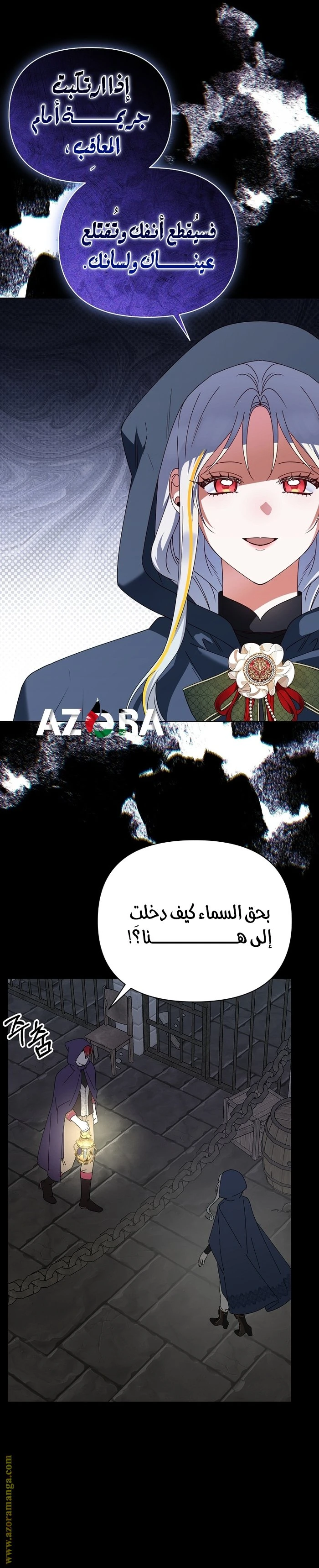 الصفحة 11
