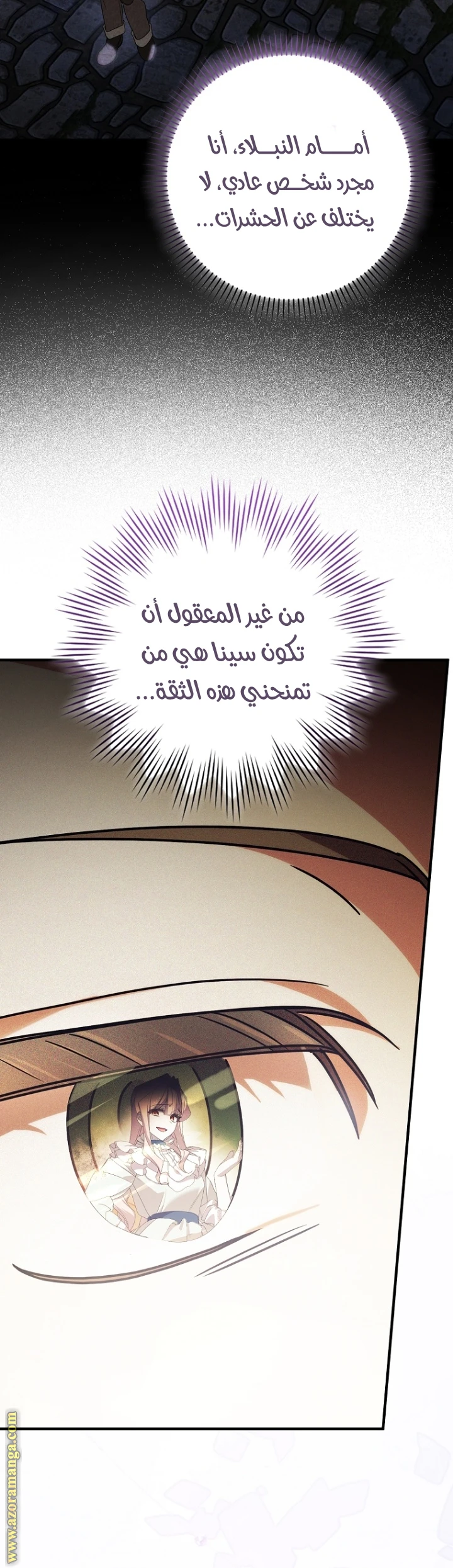 الصفحة 13