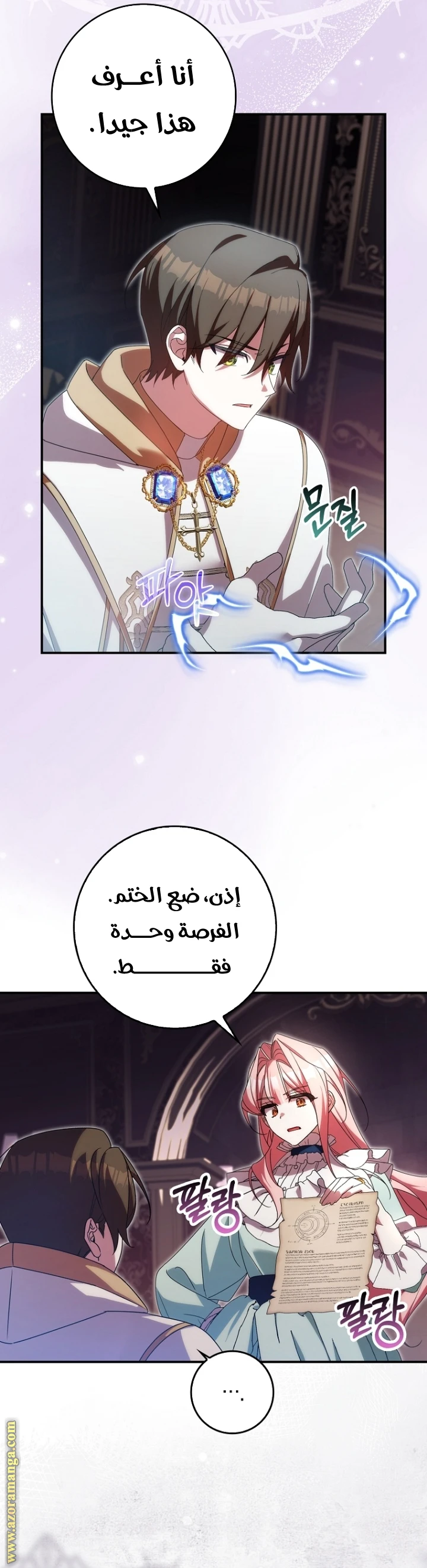 الصفحة 17