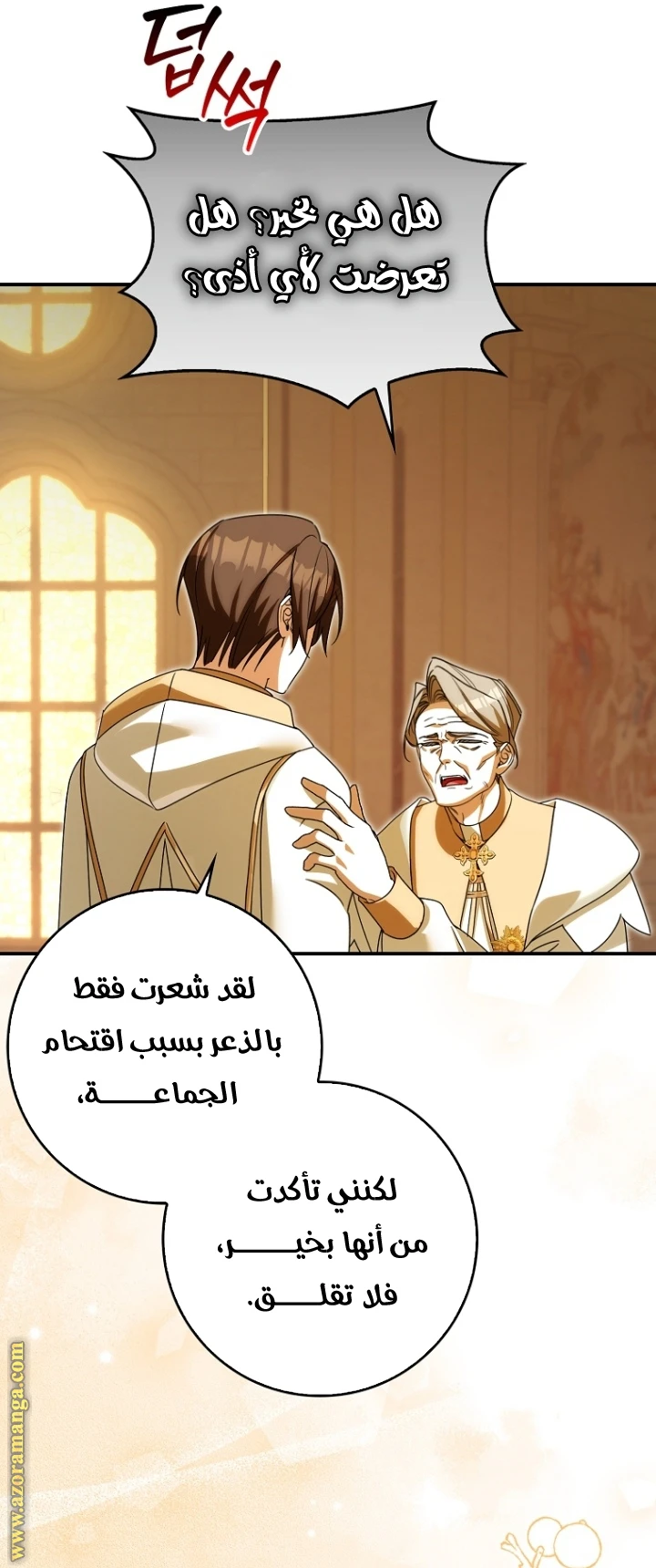 الصفحة 27