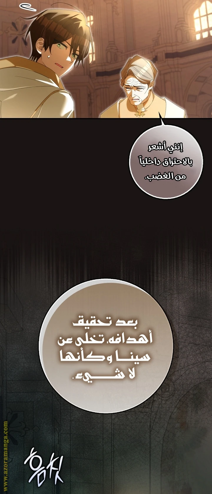 الصفحة 31
