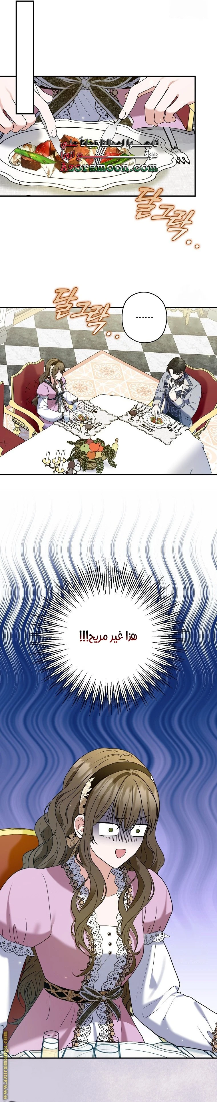 الصفحة 17